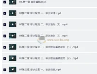2025年高级审计师备考资料：教材精讲视频+讲义+电子书
