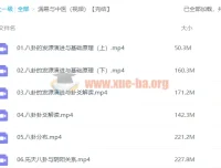 潘毅《周易与中医》视频课程全集