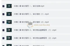 2025年高级审计师备考资料：教材精讲视频+讲义+电子书