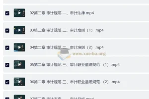 2025年高级审计师备考资料：教材精讲视频+讲义+电子书