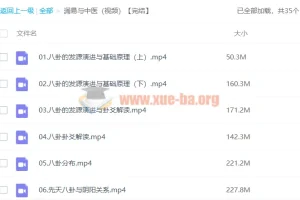 潘毅《周易与中医》视频课程全集