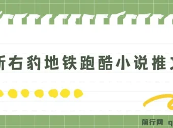 右豹地铁跑酷小说推文变现教程，附1058G实操素材