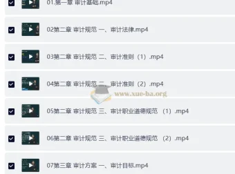 2025年高级审计师备考资料：教材精讲视频+讲义+电子书