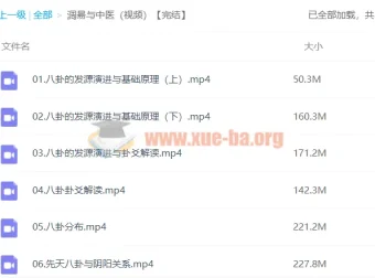 潘毅《周易与中医》视频课程全集