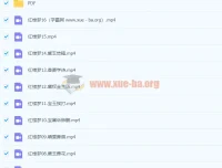 红楼梦精讲课程（邵鑫2022春季班全16讲完结）