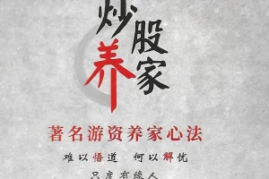 炒股养家心法：高清彩色打印珍藏版，实战心得全面总结[PDF]