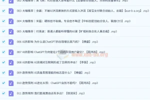 AI实践真知课（31集全）——大咖共话人工智能时代