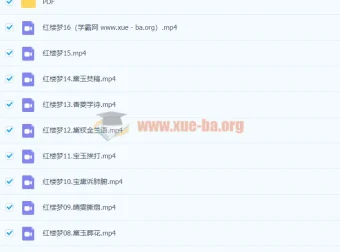 红楼梦精讲课程（邵鑫2022春季班全16讲完结）