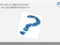 审计实务全攻略：从入门到精通