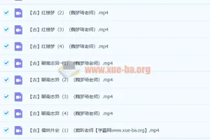 爱上语文：古代六大名著深度解读26讲完整版