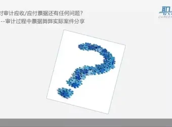 审计实务全攻略：从入门到精通