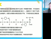 2025高一生物必修一系统精讲班：细胞结构与功能全突破