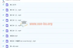 2021寒 初三语文 魏桂双 寒假直播班 百度云网盘
