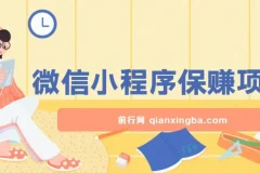 腾讯官方微信小程序变现项目，全自动运营稳定收益，日均100-500+，含实操视频与永久售后