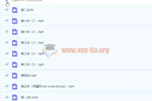 2021寒 初三语文 魏桂双 寒假直播班 百度云网盘