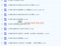 2024高二英语 张亮英语 S暑假班 视频课程+课堂笔记