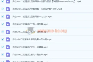 2024高三数学二轮复习 肖晗数学S寒假班 高考冲刺精讲
