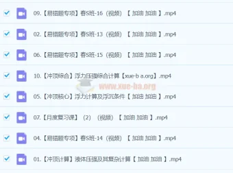 2024春下初二物理全国李海涛S班 冲顶专项突破课程