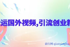 搬运国外视频引流创业粉，单日卖课1K+全套实操教程
