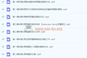 徐欣：全面预算的编制执行与控制——财务人必备的预算管理实战课