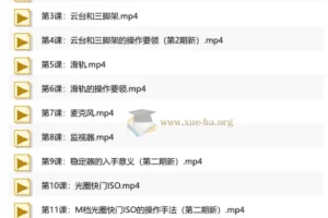 旧食课堂自然光美食短视频系统课 从零到一掌握美食影像创作全流程