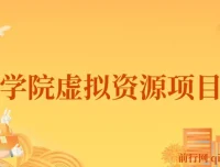 王渣男渣圈学院虚拟资源项目3.0：全平台引流与变现系统课