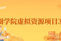 王渣男渣圈学院虚拟资源项目3.0：全平台引流与变现系统课