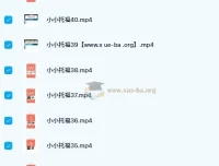 新东方绘本馆小小托福红宝词库视频课+配套讲义 少儿英语启蒙词汇精选