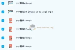 新东方绘本馆小小托福红宝词库视频课+配套讲义 少儿英语启蒙词汇精选
