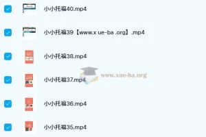 新东方绘本馆小小托福红宝词库视频课+配套讲义 少儿英语启蒙词汇精选