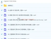 王瑾 2024高一化学 A+春季班 全套视频课程+课堂笔记+PDF讲义