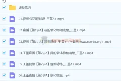 王瑾 2024高一化学 A+春季班 全套视频课程+课堂笔记+PDF讲义