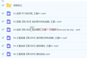 王瑾 2024高一化学 A+春季班 全套视频课程+课堂笔记+PDF讲义