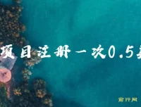 国外注册项目单次0.5美金 三分钟操作可批量放大 小白工作室副业首选