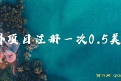 国外注册项目单次0.5美金 三分钟操作可批量放大 小白工作室副业首选