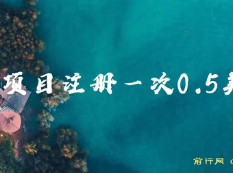 国外注册项目单次0.5美金 三分钟操作可批量放大 小白工作室副业首选