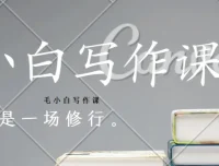 毛小白写作课：从入门到变现的全流程实战指南