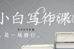 毛小白写作课：从入门到变现的全流程实战指南
