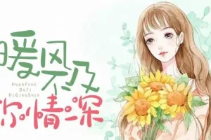 有声小说《暖风不及你情深》多人有声剧622集完结