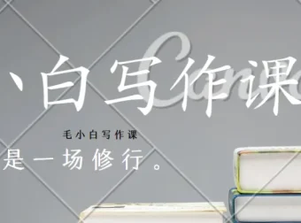 毛小白写作课：从入门到变现的全流程实战指南