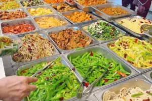 700种中式快餐技术配方合集，大锅菜盒饭炒菜外卖全套教程