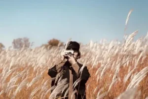 手机摄影训练营随手拍大片