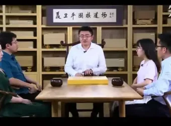 聂卫平樊麾围棋入门课：从零基础到实战高手的极简进阶指南