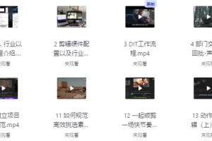 莱尼日记影视剪辑全流程入门+短剧实战课（含配套素材）