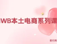 俄罗斯跨境电商实战课：OZON与WB本土店运营全攻略，从选品到爆款打造