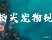 指尖宠物视频AI制作教程，萌宠治愈系短视频变现新玩法