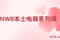 俄罗斯跨境电商实战课：OZON与WB本土店运营全攻略，从选品到爆款打造