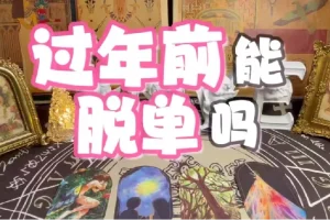 春节10天脱单攻略视频教程