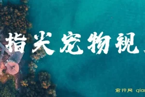 指尖宠物视频AI制作教程，萌宠治愈系短视频变现新玩法