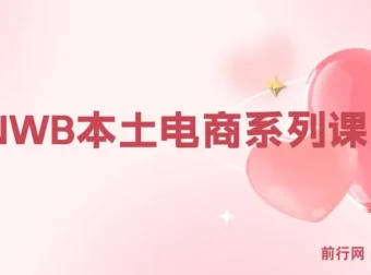 俄罗斯跨境电商实战课：OZON与WB本土店运营全攻略，从选品到爆款打造